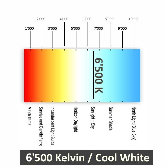 scala temperatura colori