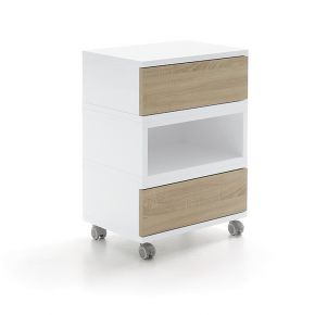 Trolley with two drawers and a central open compartment - dimensions 55x41x81h cm