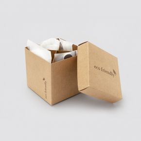 Linea cortesia Eco Friendly in box di cartone con cuffia, cotton fioc, limetta unghie e discetti cotone makeup