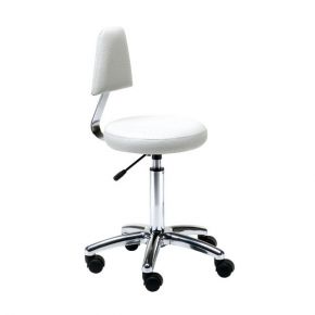 Adjustable stool with backrest