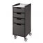 Professional trolley with five drawers